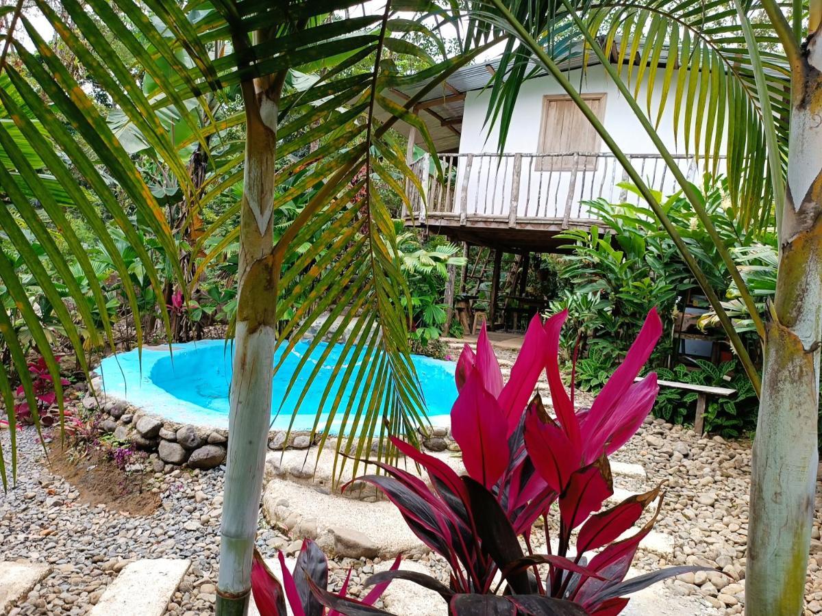Cabana Vista Rio Celeste Exterior photo