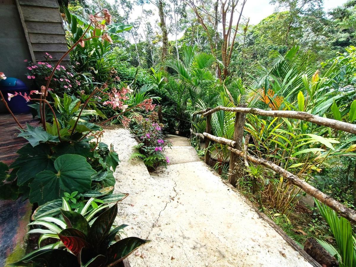 Cabana Vista Rio Celeste Exterior photo